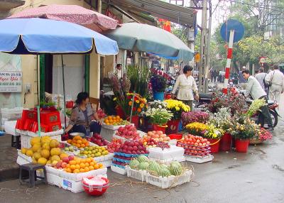 Hanoi Fruit Stand by len_taylor