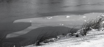 Pond's Edge