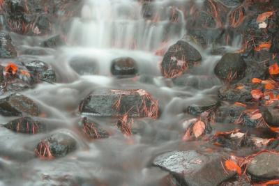 Small waterfall and red leaves (2)