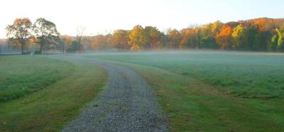 Field in the morning mist, II