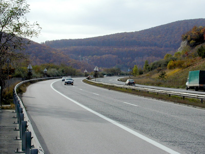 sPB016306.JPG