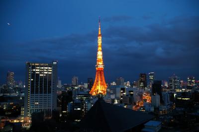 Gallery : My area in Tokyo