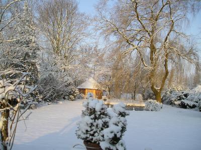  Our Garden in The Netherlands