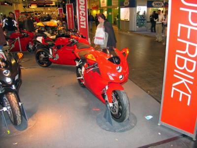 Ducatis2.jpg