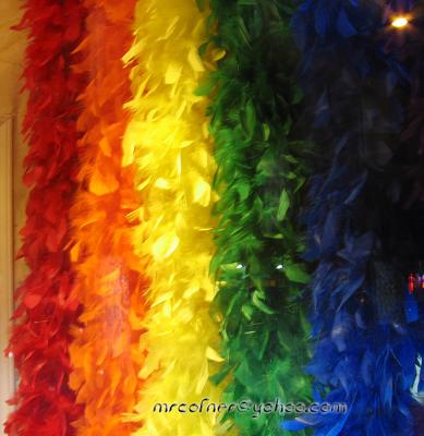 Pride Feathers