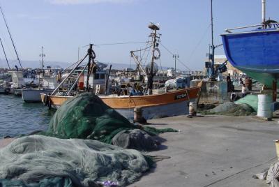 acre_harbour in the morning