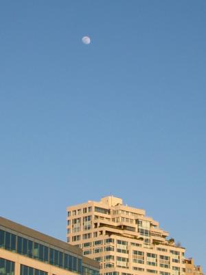 Moon