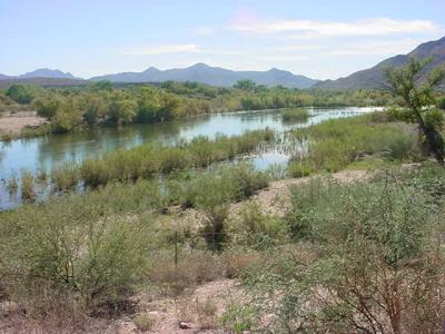 Verde River in Arizona