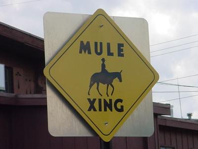 MULE Xing