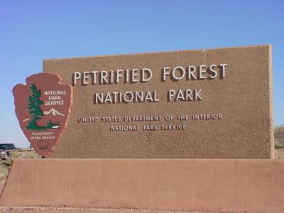 Petrified ForestNational Park