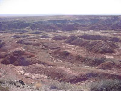 Petrified ForestNational Park