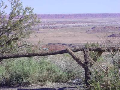 Petrified ForestNational Park