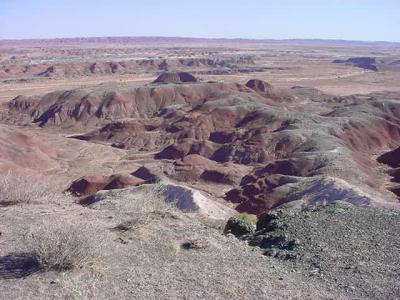 Petrified Forest