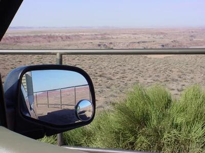 Petrified Forest