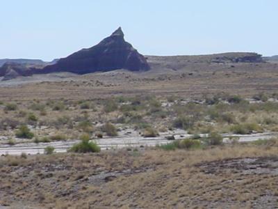 Arizona desert