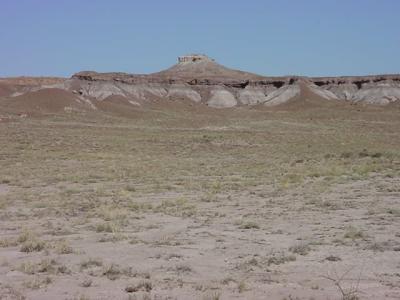 Arizonapainted desert