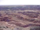 Petrified Forest<br>National Park