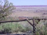 Petrified Forest<br>National Park