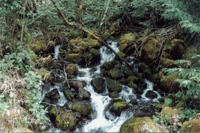 Aufderhiede-8th Creek