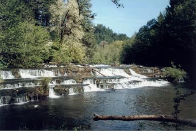 Siuslaw Falls in the summer