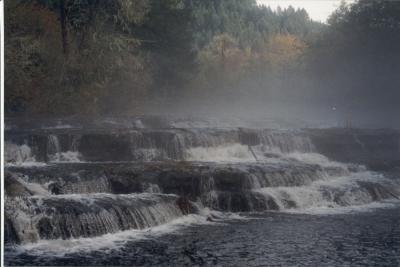 Siuslaw Falls in the fall