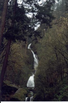 Wahkeena Falls
