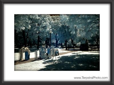 infrared-wedding_7834c.jpg