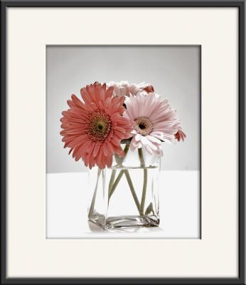 Gerbera Bunch