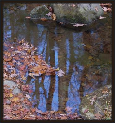 Fall In The WaterRichardRE-10