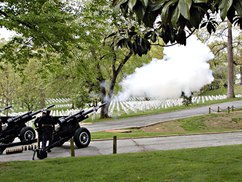 Veterans Day Salute <br> Submitted by Beacon