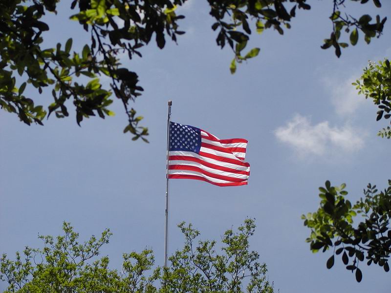 Thank You For Our Freedom<BR>Submitted By: Bill Huber