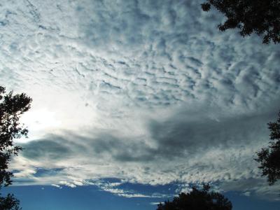 cirrocumulus.JPG