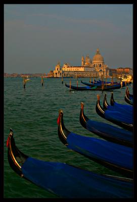 IMG_4336.jpg