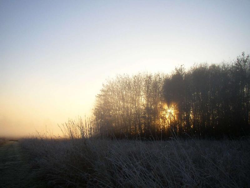 PB130111a.jpg