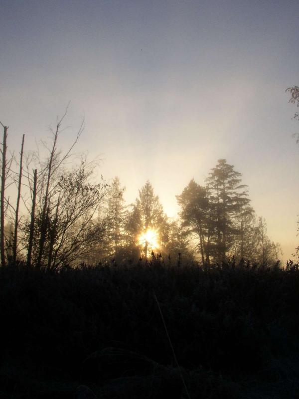 PB130143a.jpg
