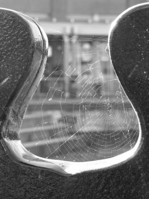 PB050016a_bw.jpg