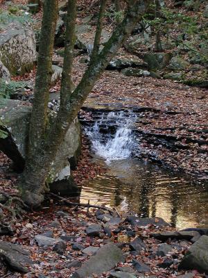 cloudland_canyon_110103