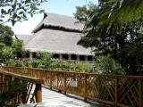 Bridge over the cenote