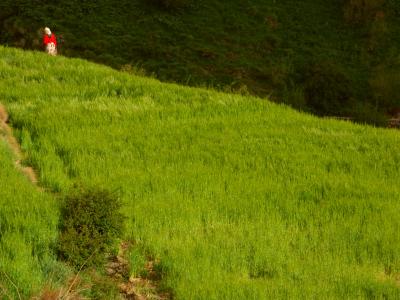 High Atlas Mountains