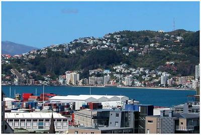 Apartment Dwellers view of Oriental Bay