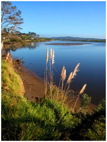 Waipu River