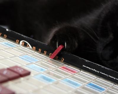 Extreme Scrabble 2