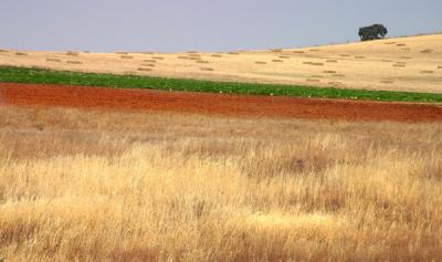 Alentejo