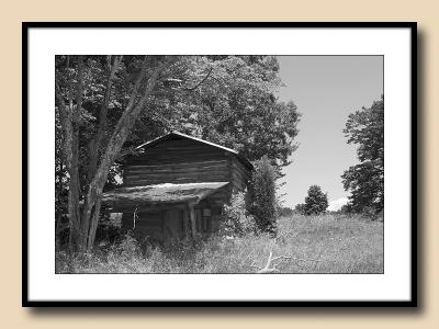 NC Past--Tobacco Barn Abandoned