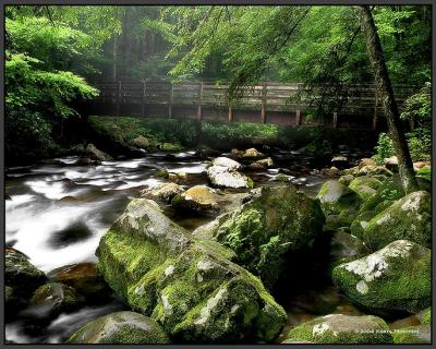 Bridge