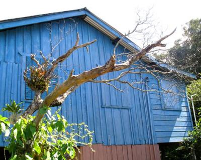 u35/placesandseasons/medium/40414553.Placencia3.jpg