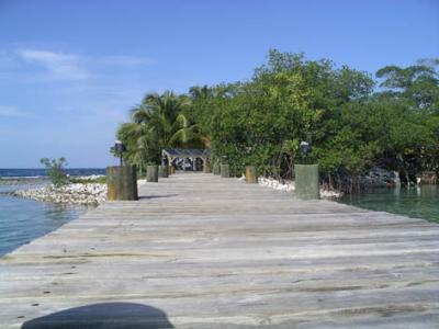 Seal Caye 5.jpg