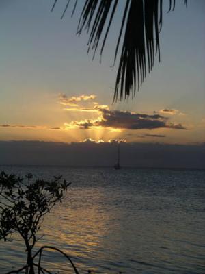 Seal Caye #1 - Belize.jpg