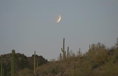 Lunar Eclipse from Picacho Peak, AZ -- November 8, 2003