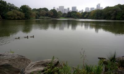 Central Park lake.jpg